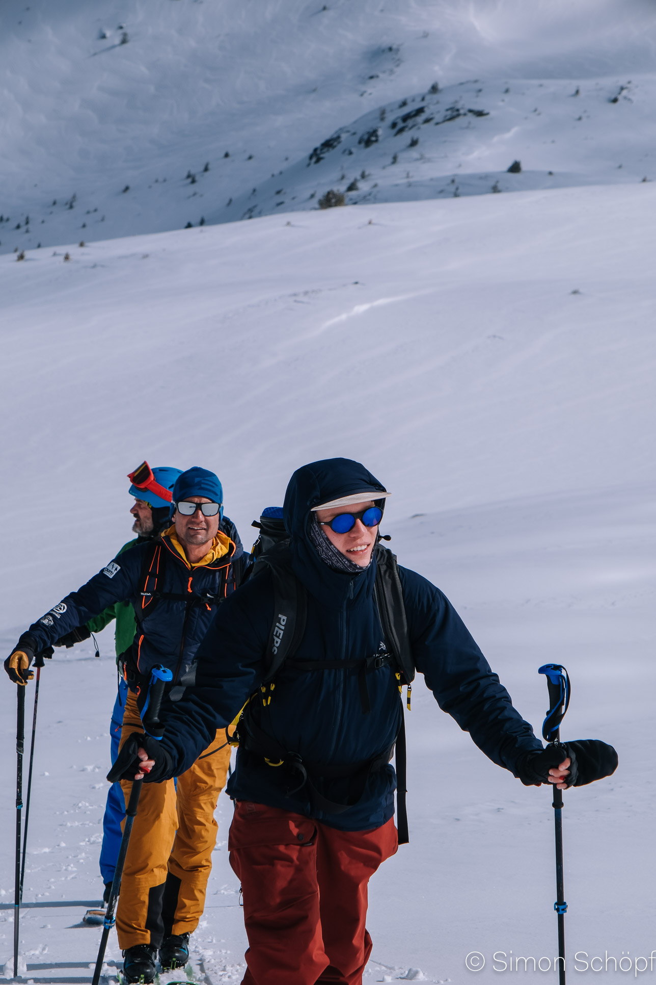 Brezovica